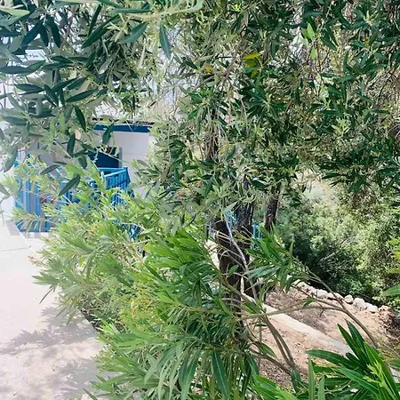 Casa vacanze Bellina *