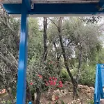 Bellina * Pefki (Rhodes)