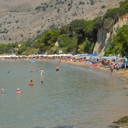 Bellina * Πεύκος